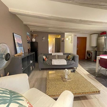 Apartamento Le Plein Air D'Annecy, Proche Gare Exterior foto